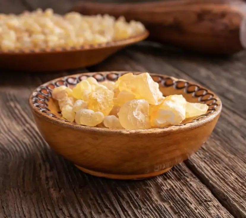 Boswellia Extract