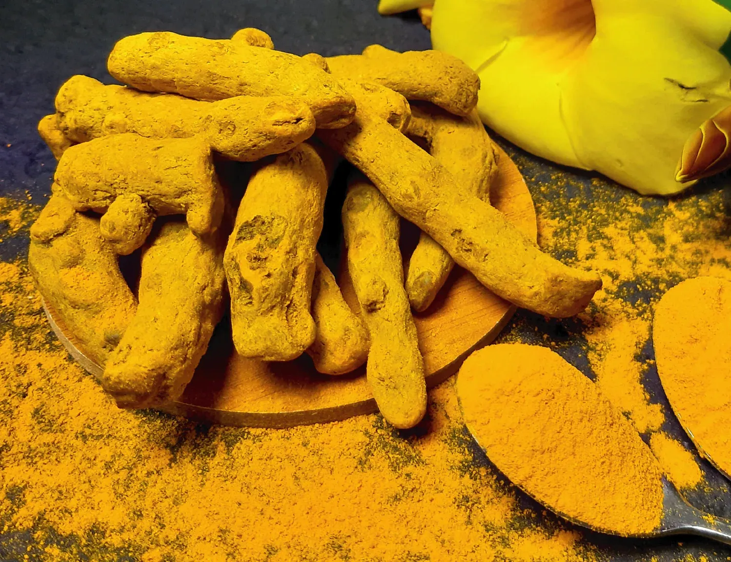 Turmeric (Curcumin Extract)